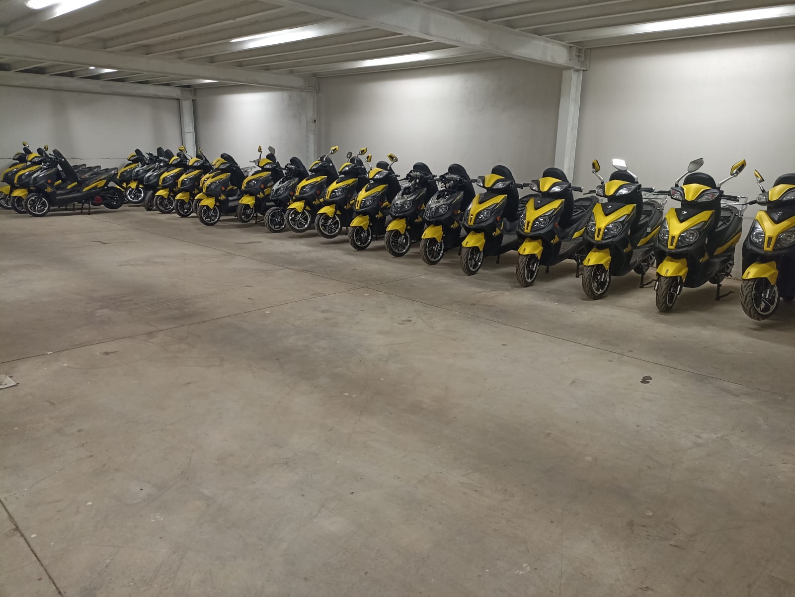 WhatsApp Image 2023-11-07 at 11.21.42